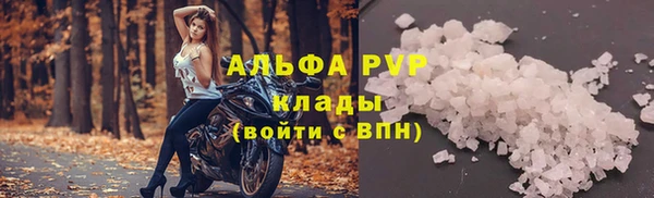 mdpv Снежногорск