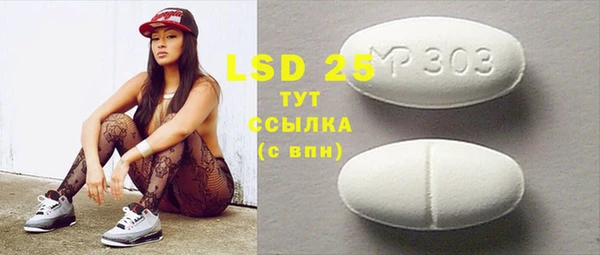 гашик Сосновка