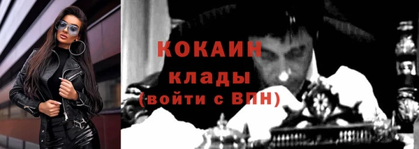 гашик Сосновка