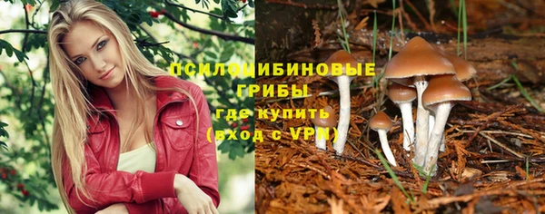 молекула духа Железногорск-Илимский