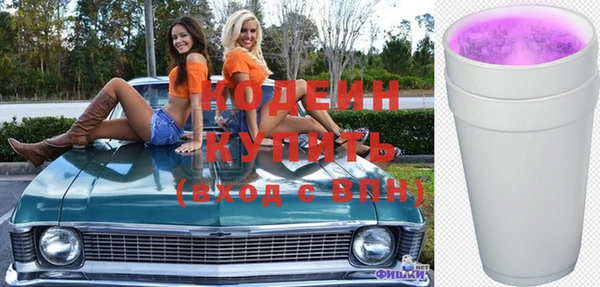 гашик Сосновка