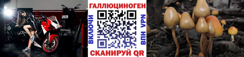 Галлюциногенные грибы Cubensis  Купить  Кашин 