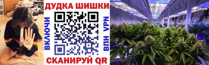 Купить где  Кашин  Каннабис THC 21% 